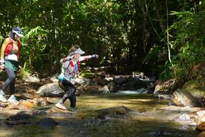 BIB: 
                            <button type="button" onclick="openModal(21853557)" class="btn btn-primary btn-sm float-right btn-popup" data-toggle="modal" data-target=".modal-high-quality">
                        <i class="fas fa-shopping-cart"></i> Add to Cart
                    </button>
                                            <button type="button" onclick="isThisMe(21853557, true)" class="btn btn-success btn-sm float-right btn-popup btn-isme hidden" data-toggle="tooltip" data-placement="bottom" title="นี่คือรูปของคุณใช่ไหม คลิกที่นี่เพื่อเอาเข้าอัลบั้ม">
                        <i class="fas fa-plus"></i> Add to album
                    </button>
                    <button type="button" onclick="isThisMe(21853557, false)" class="btn btn-warning btn-sm float-right btn-popup btn-isnotme hidden">
                        <i class="fas fa-ban"></i> Remove from album
                    </button>